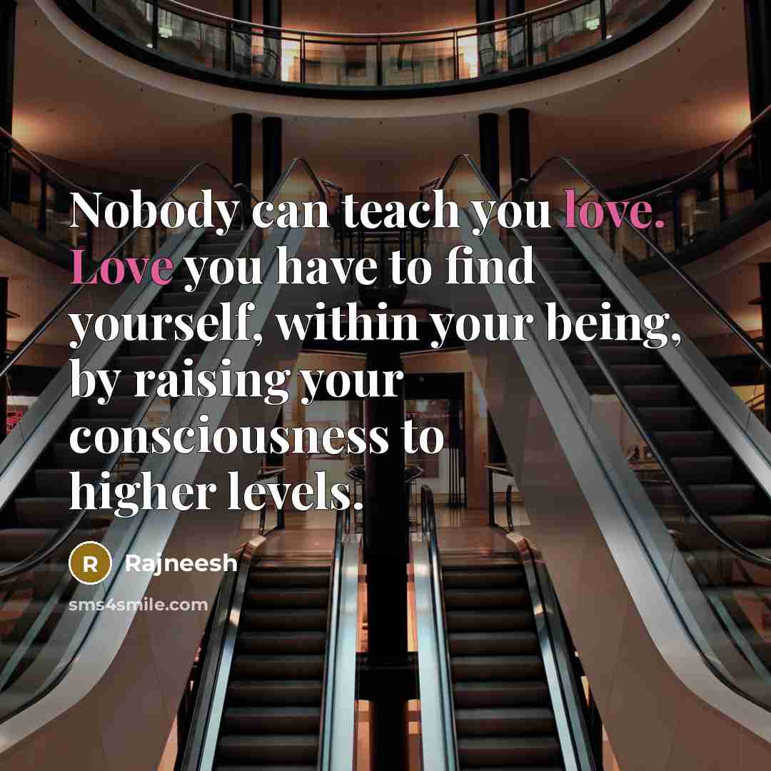 “Nobody can teach you love. Love you have to find…” quote by Rajneesh