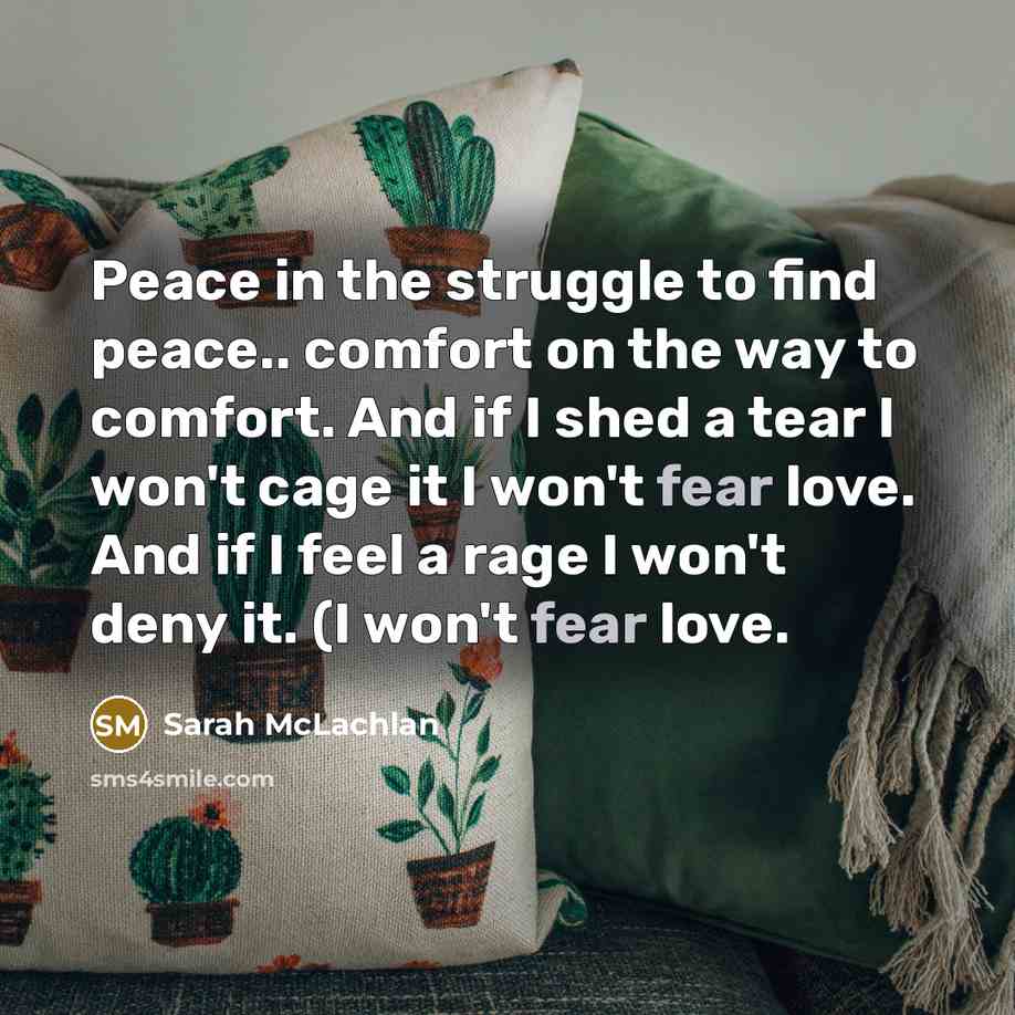 “Peace in the struggle to find peace.. comfort on the…” quote by Sarah McLachlan