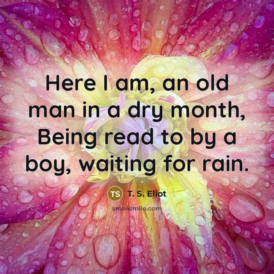“Here I am, an old man in a dry month,…” quote by T. S. Eliot