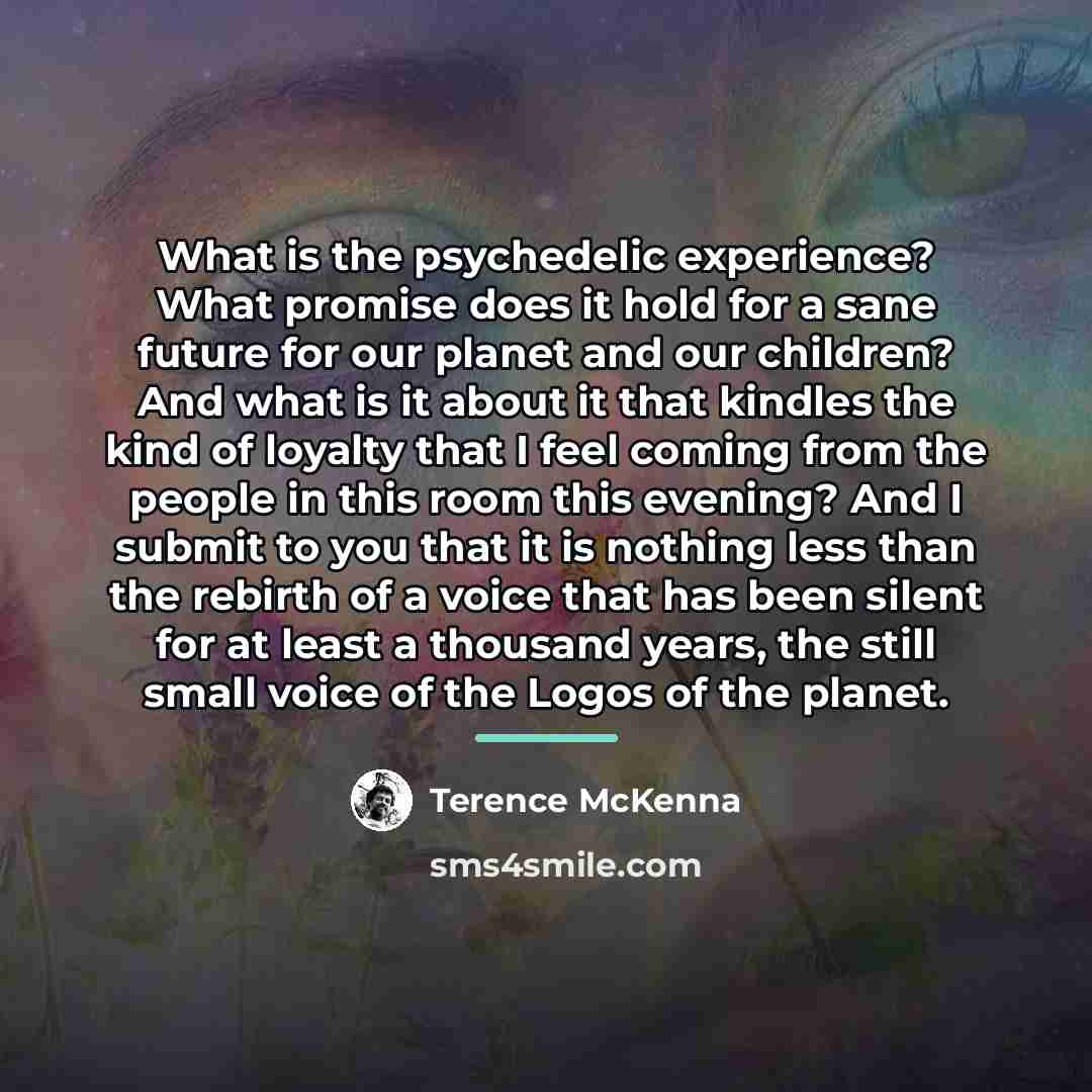 “What is the psychedelic experience? What promise does it hold…” quote by Terence McKenna