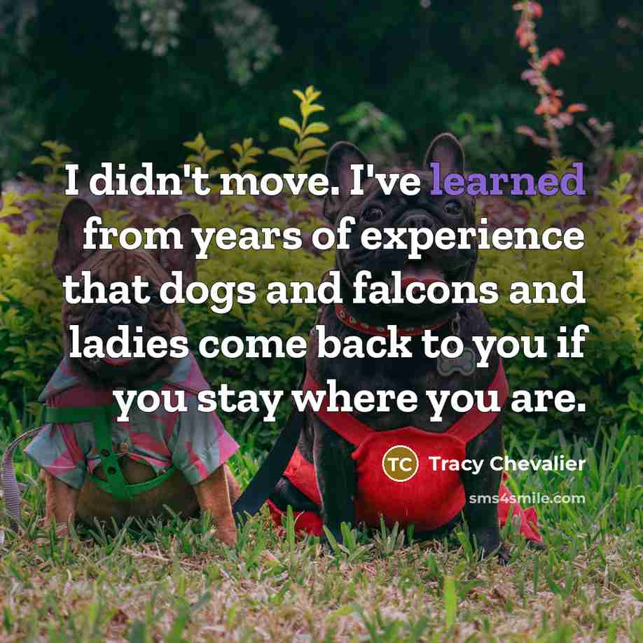 “I didn't move. I've learned from years of experience that…” quote by Tracy Chevalier