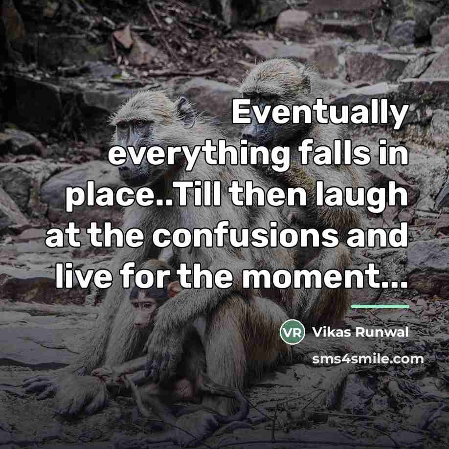 “Eventually everything falls in place..Till then laugh at the confusions…” quote by Vikas Runwal