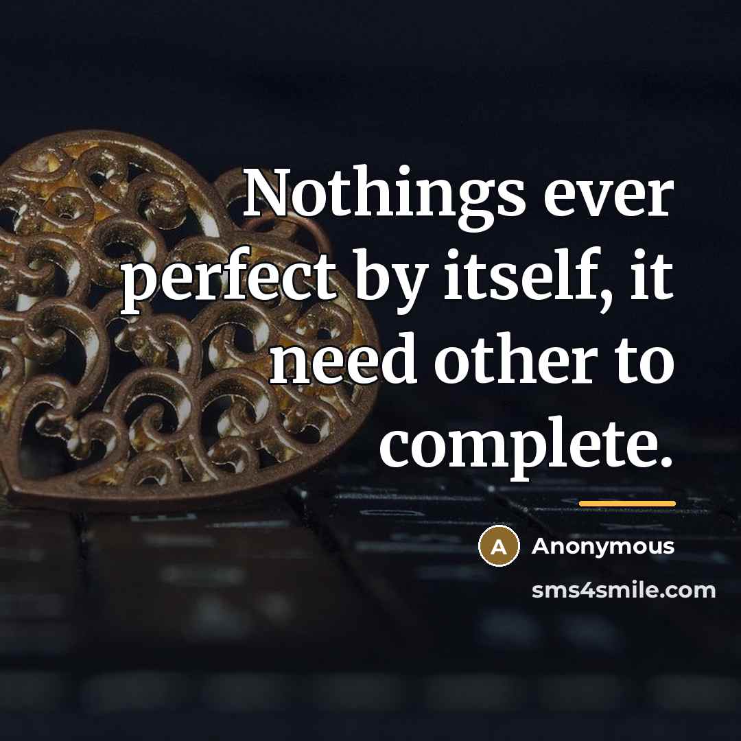 “Nothings ever perfect by itself, it need other to complete.…” quote by Anonymous