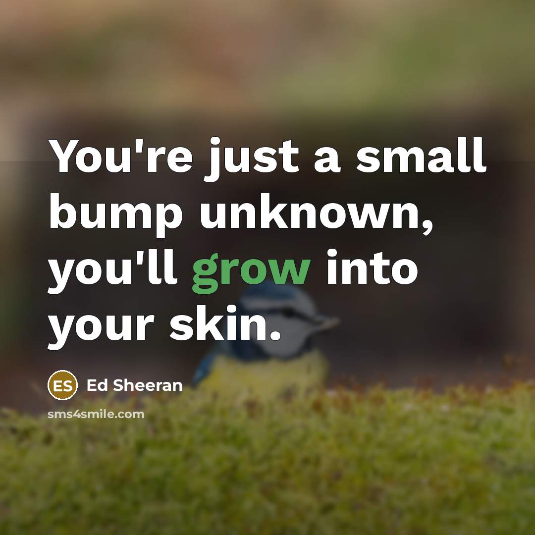 “You're just a small bump unknown, you'll grow into your…” quote by Ed Sheeran