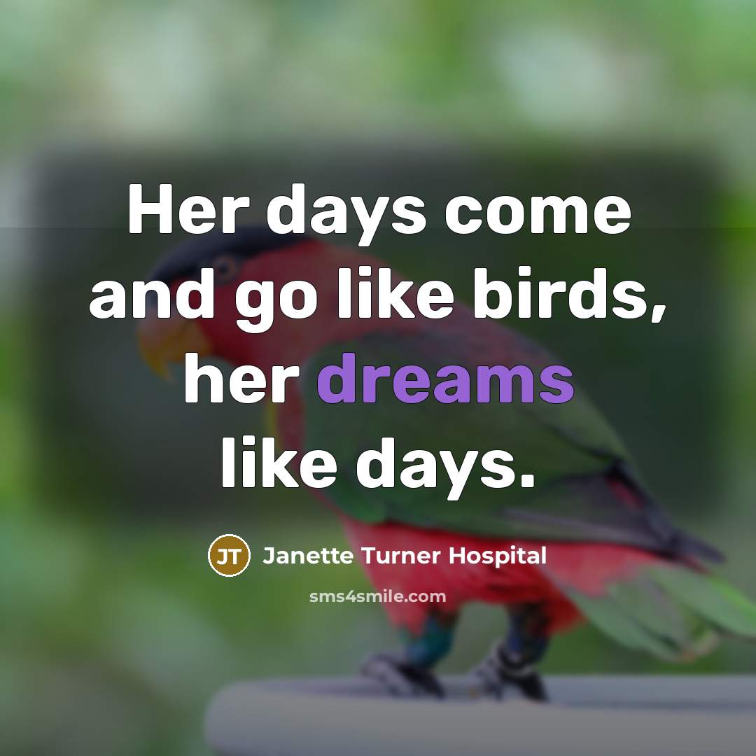 “Her days come and go like birds, her dreams like…” quote by Janette Turner Hospital
