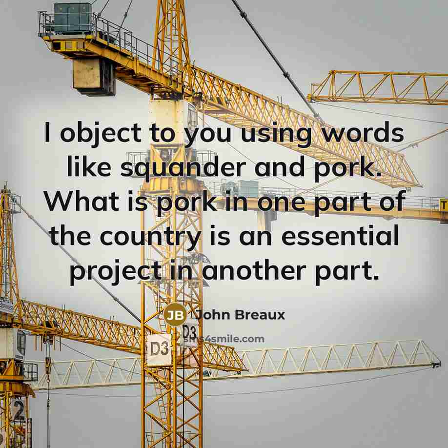 “I object to you using words like squander and pork.…” quote by John Breaux