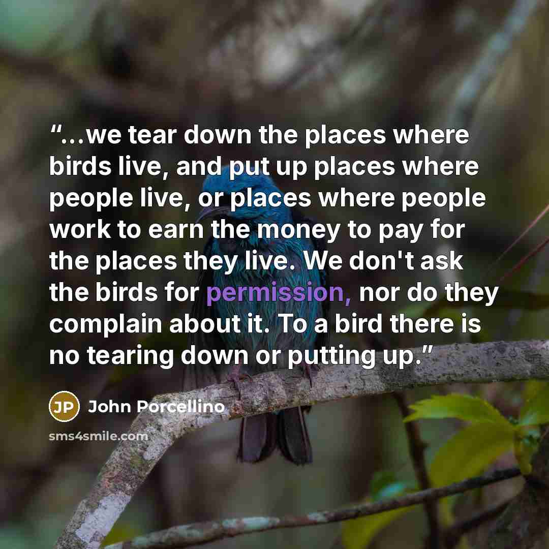 “...we tear down the places where birds live, and put up places where people live, or places where people work to earn the money to pay for the places they live. We don't ask the birds for permission, nor do they complain about it. To a bird there is no tearing down or putting up.” quote by John Porcellino