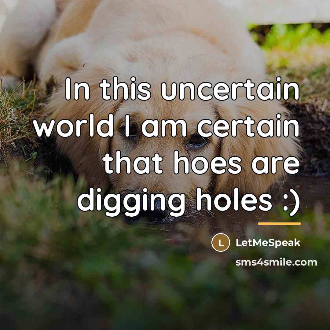 “In this uncertain world I am certain that hoes are…” quote by LetMeSpeak