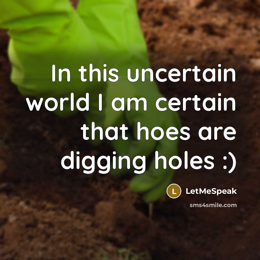 “In this uncertain world I am certain that hoes are digging holes :)” quote by LetMeSpeak