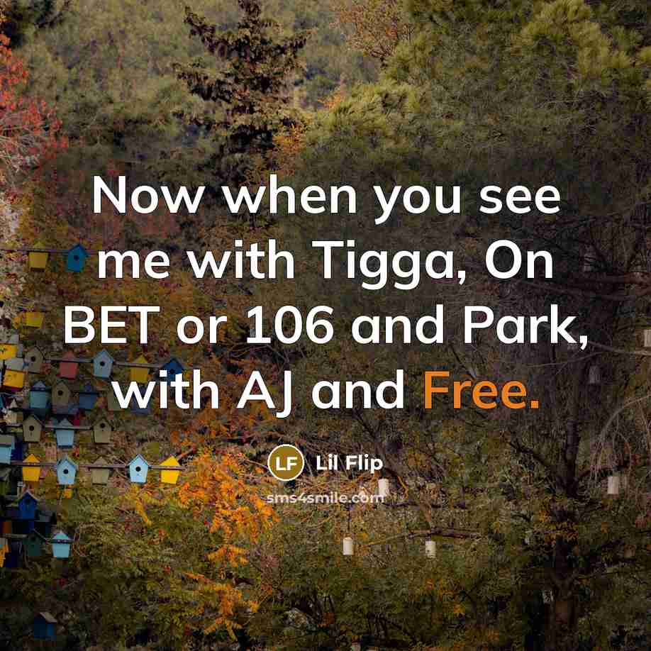 “Now when you see me with Tigga, On BET or 106 and Park, with AJ and Free.” quote by Lil Flip