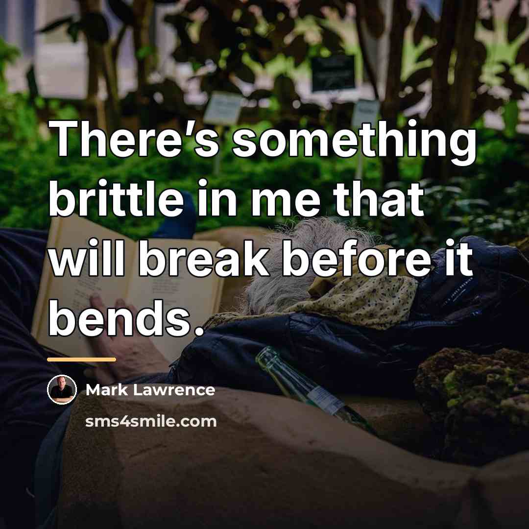 “There’s something brittle in me that will break before it…” quote by Mark Lawrence