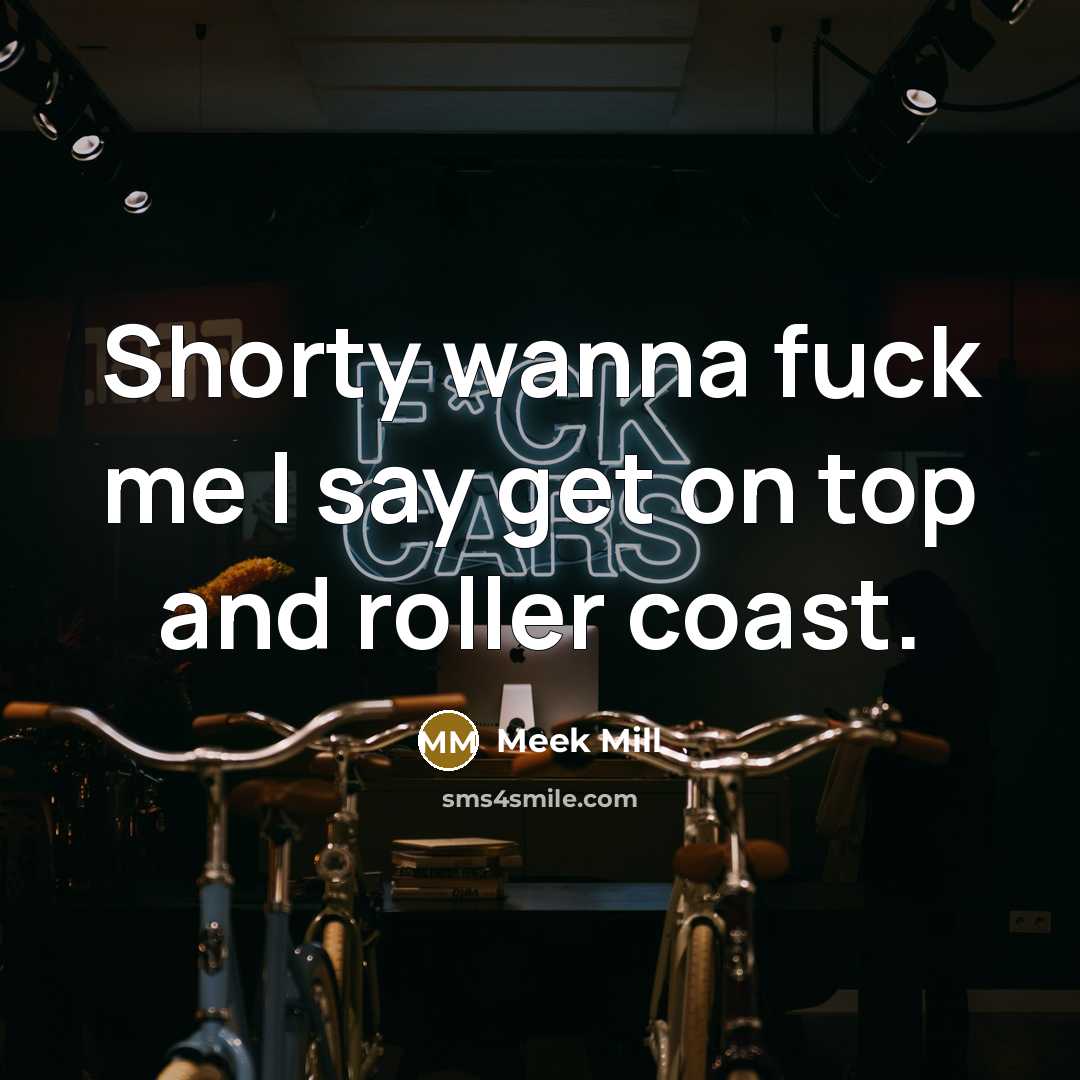 “Shorty wanna fuck me I say get on top and roller coast.” quote by Meek Mill