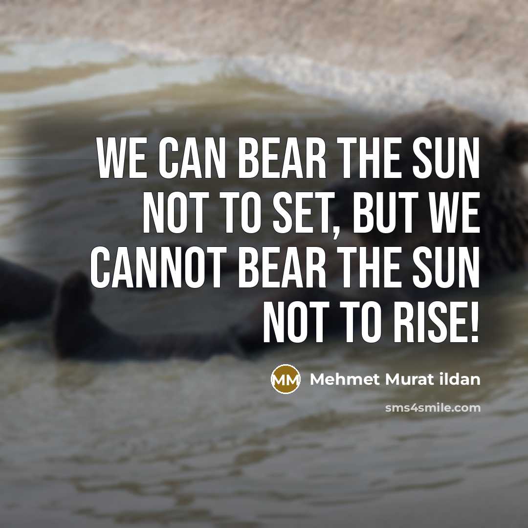 “We can bear the sun not to set, but we…” quote by Mehmet Murat Ildan