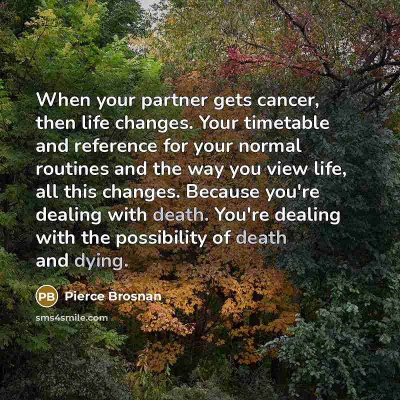 “When your partner gets cancer, then life changes. Your timetable…” quote by Pierce Brosnan