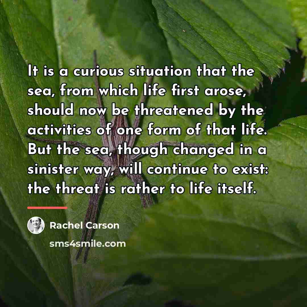 “It is a curious situation that the sea, from which…” quote by Rachel Carson