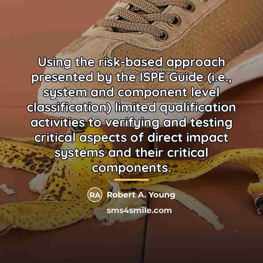 “Using the risk-based approach presented by the ISPE Guide (i.e.,…” quote by Robert A. Young