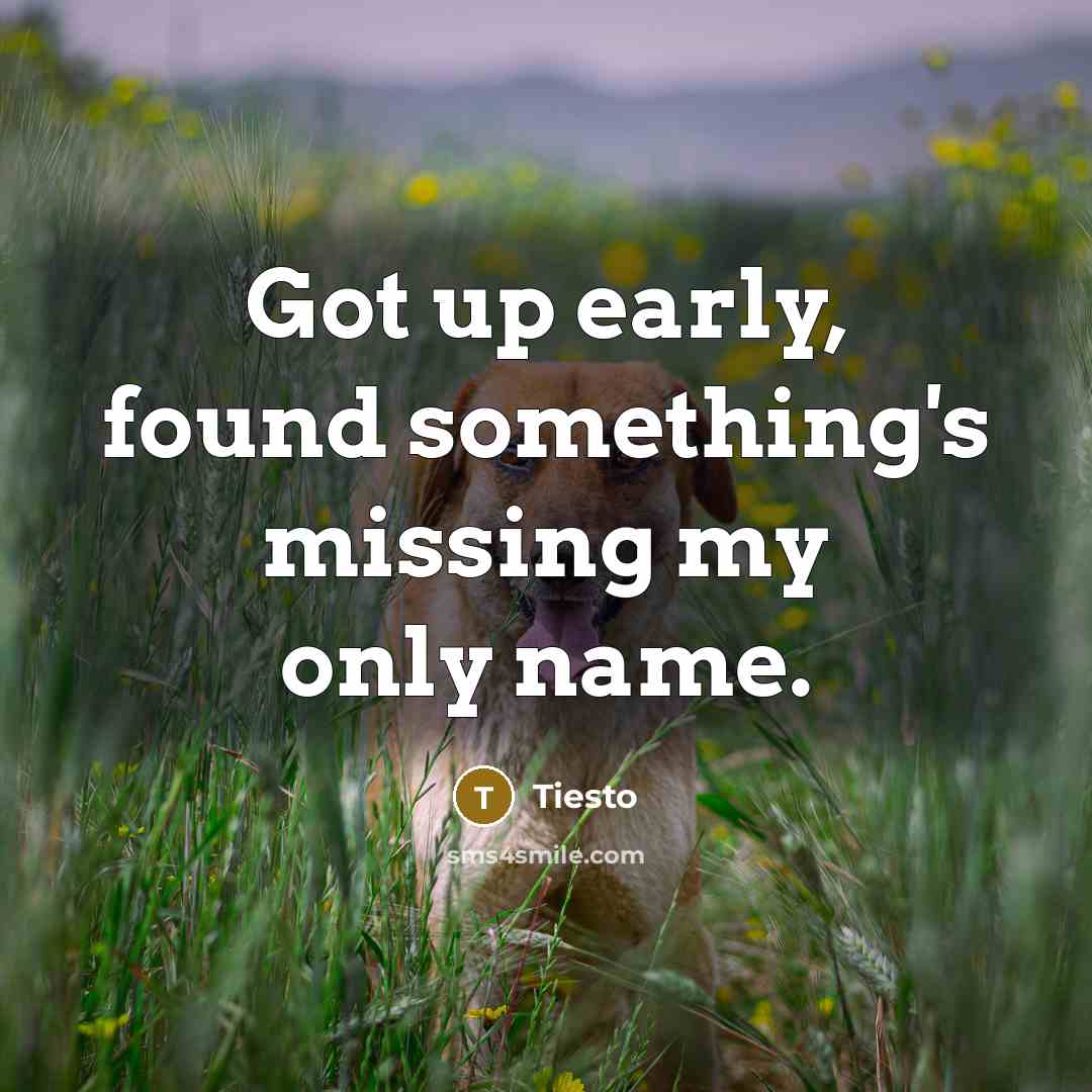 “Got up early, found something's missing my only name.” quote by Tiesto