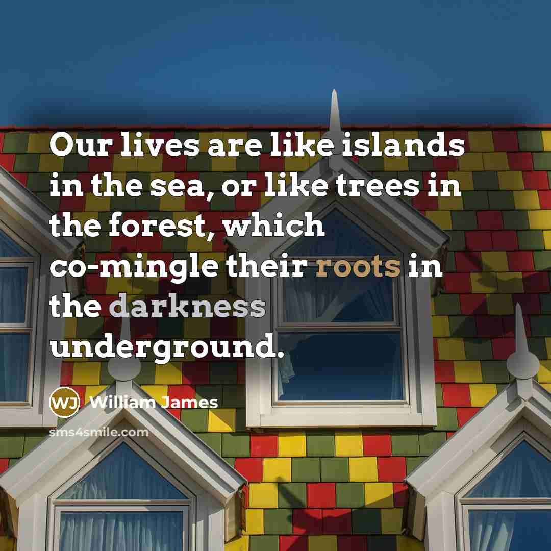 “Our lives are like islands in the sea, or like…” quote by William James