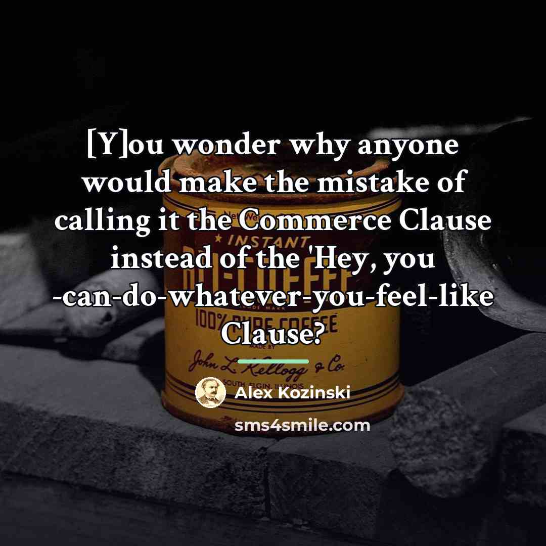 “[Y]ou wonder why anyone would make the mistake of calling…” quote by Alex Kozinski