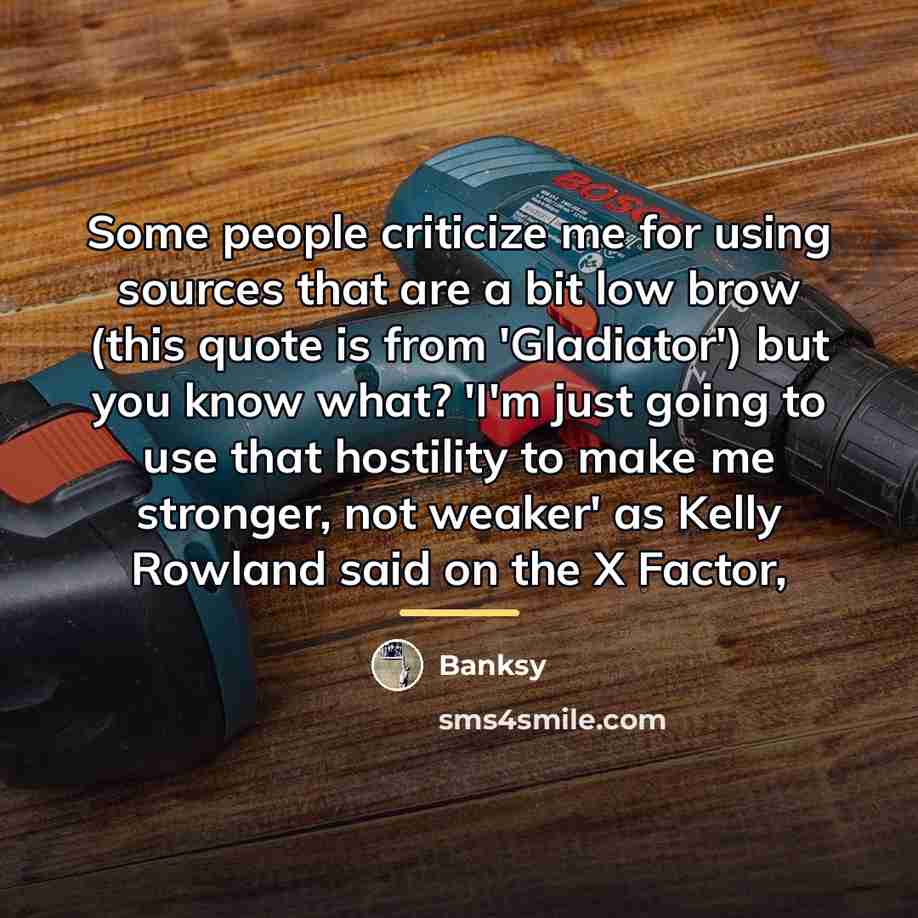 “Some people criticize me for using sources that are a…” quote by Banksy