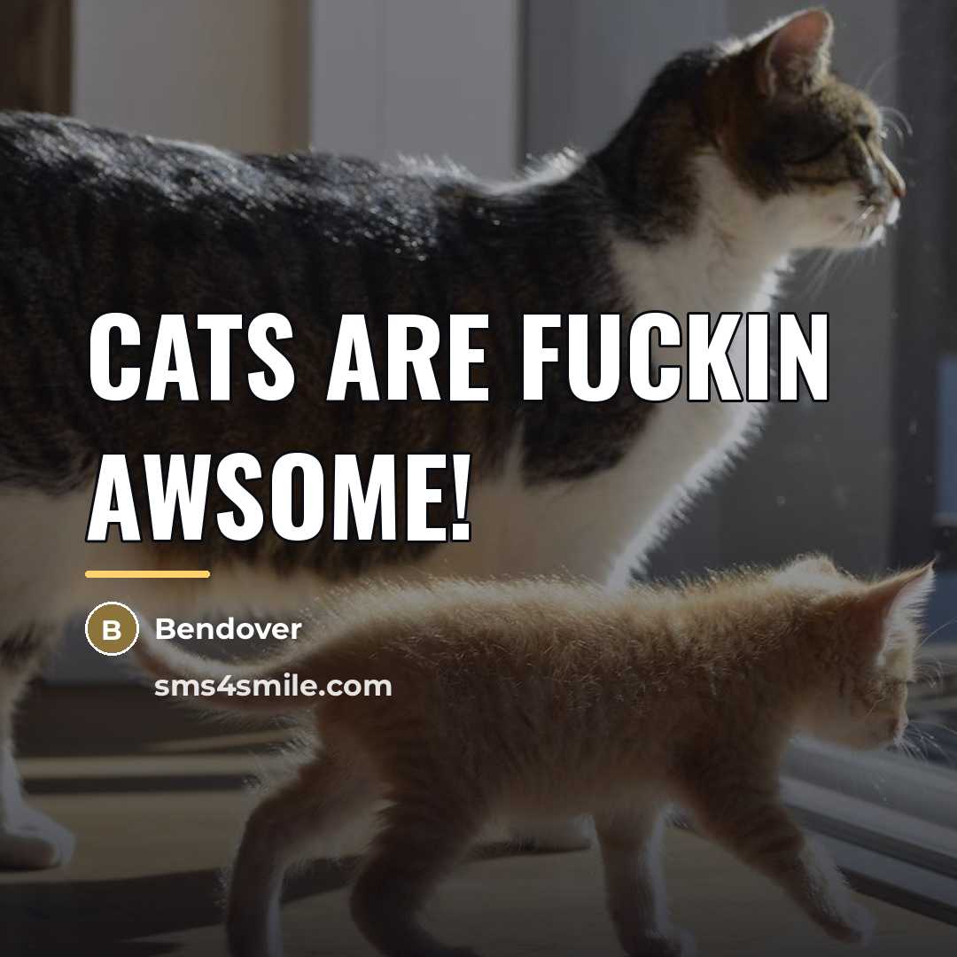 “Cats are fuckin awsome!…” quote by Bendover
