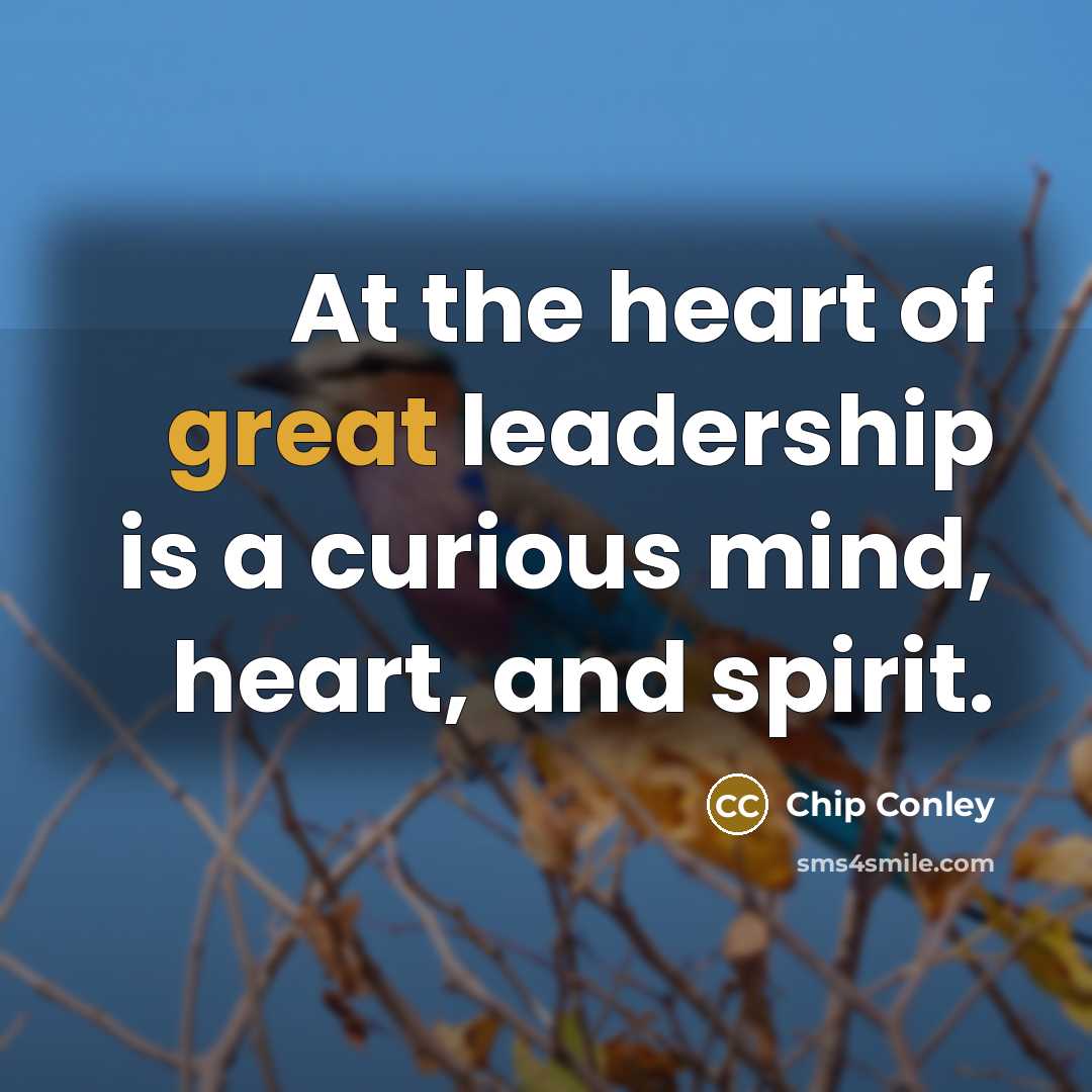 “At the heart of great leadership is a curious mind,…” quote by Chip Conley