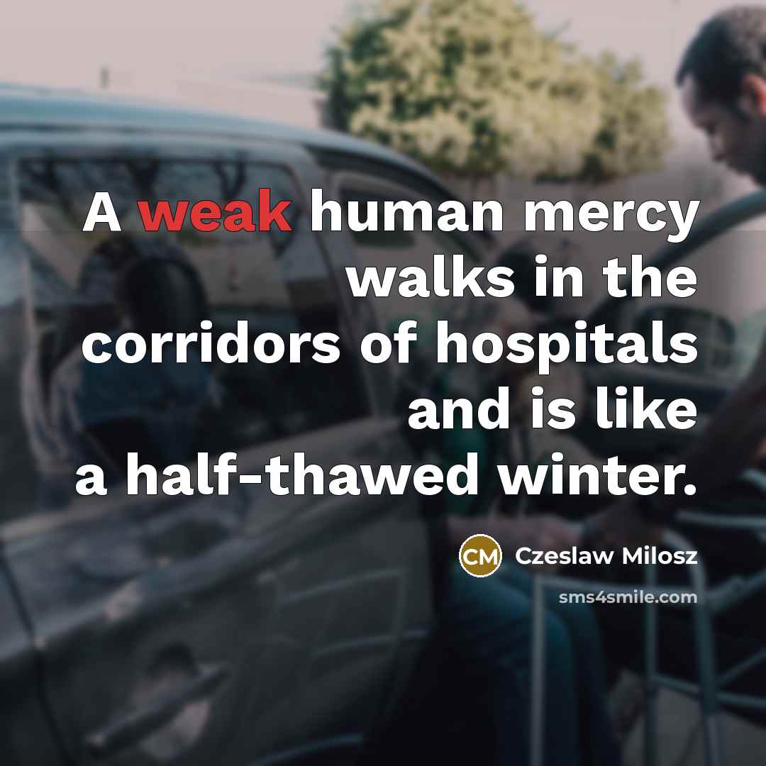 “A weak human mercy walks in the corridors of hospitals…” quote by Czeslaw Milosz