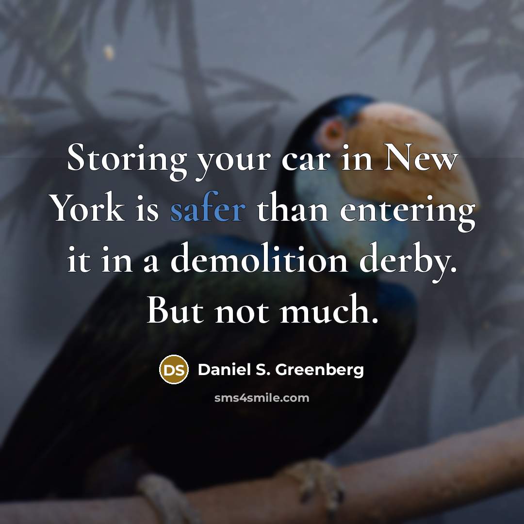 “Storing your car in New York is safer than entering…” quote by Daniel S. Greenberg