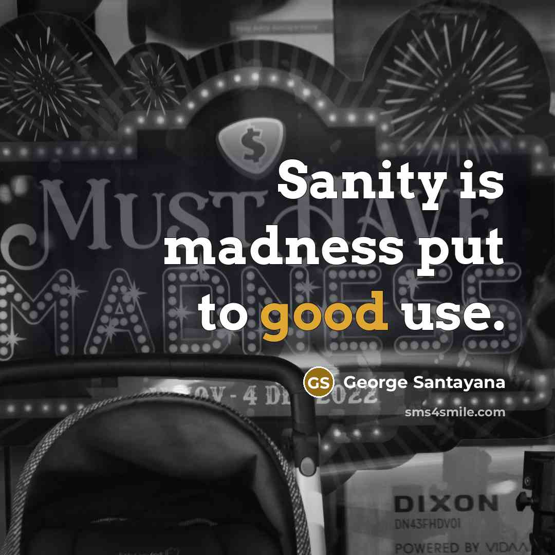 “Sanity is madness put to good use.…” quote by George Santayana