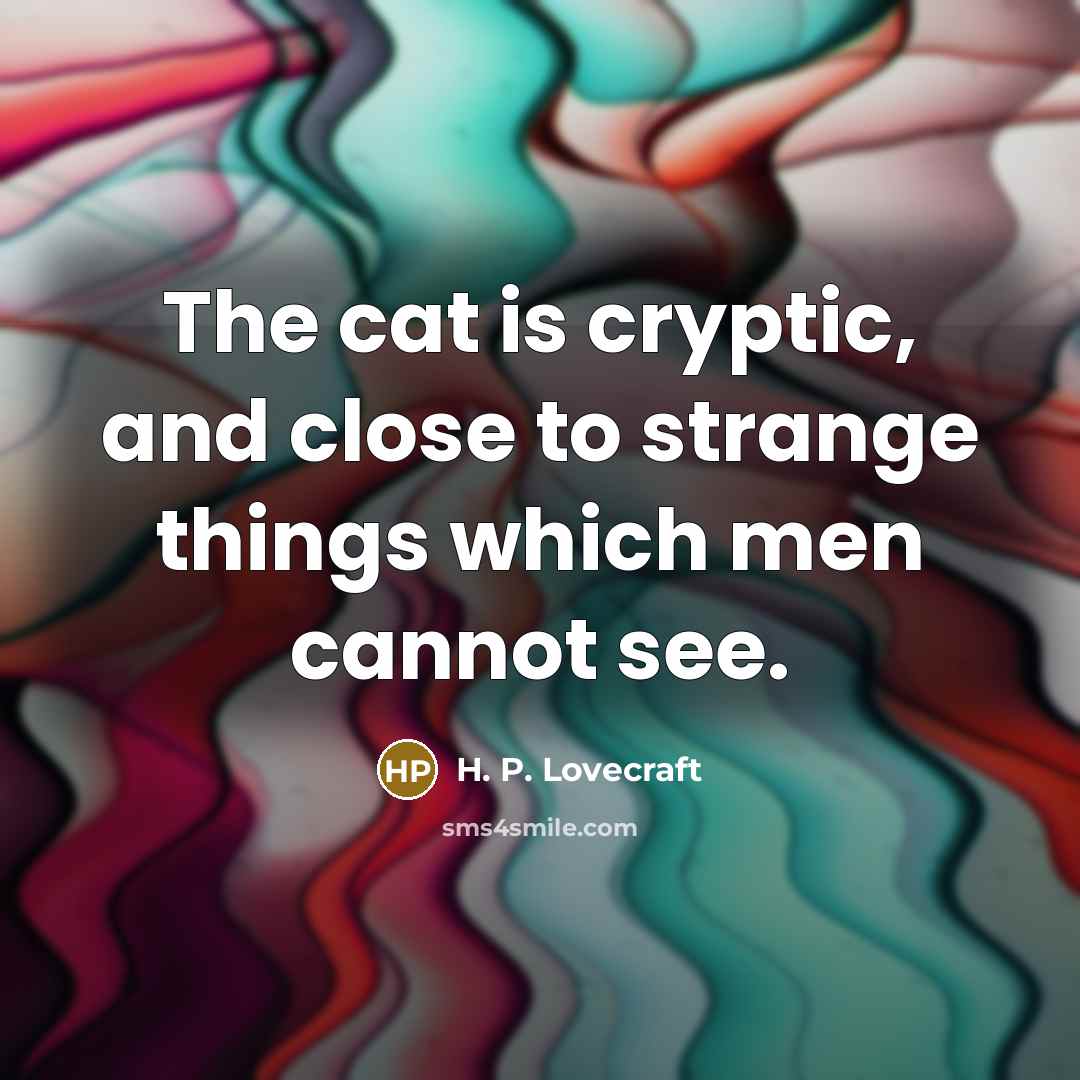 “The cat is cryptic, and close to strange things which…” quote by H. P. Lovecraft