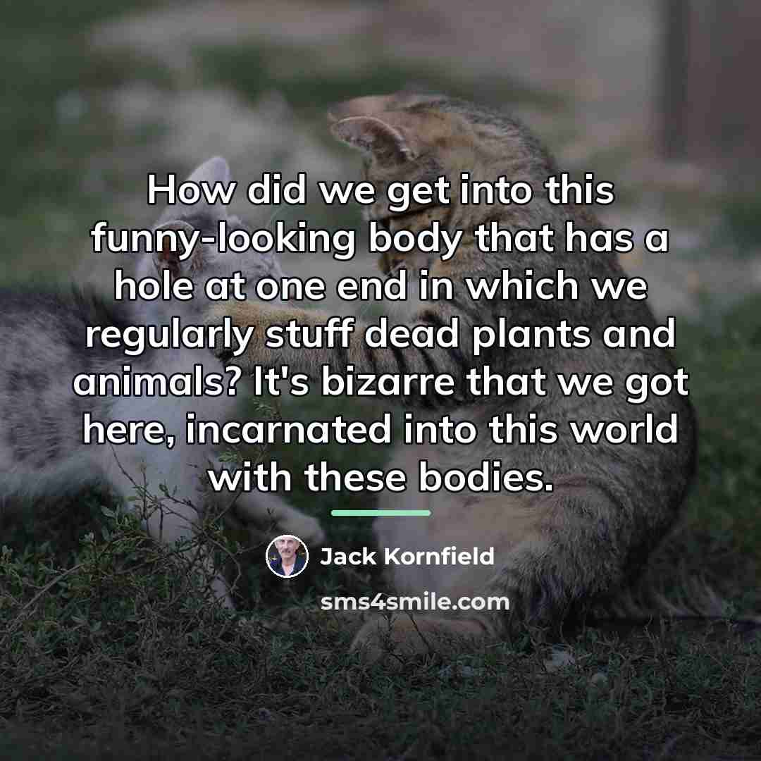“How did we get into this funny-looking body that has…” quote by Jack Kornfield