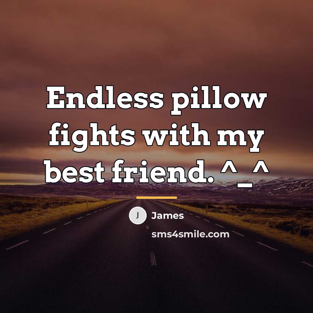 “Endless pillow fights with my best friend. ^_^…” quote by James