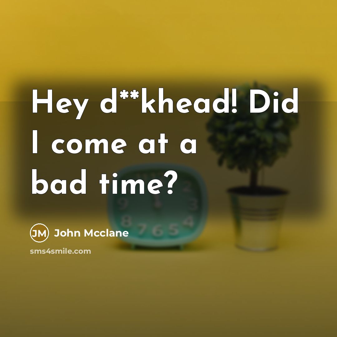 “Hey d**khead! Did I come at a bad time?…” quote by John Mcclane