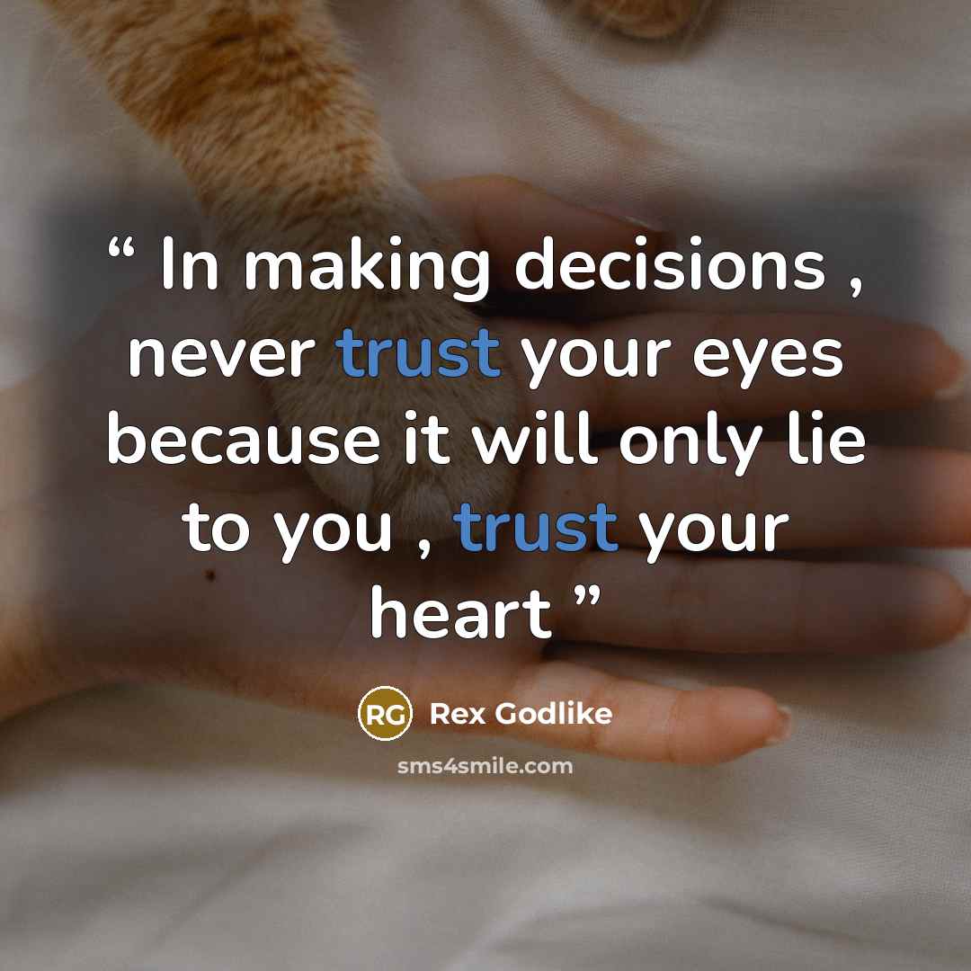 “In making decisions , never trust your eyes because it will only lie to you , trust your heart” quote by Rex Godlike