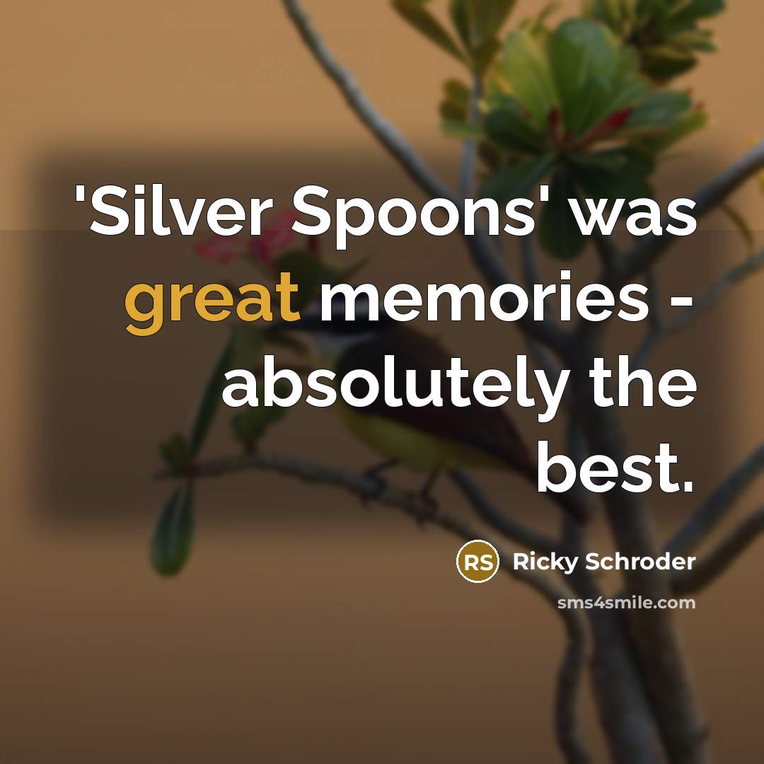 “'Silver Spoons' was great memories - absolutely the best.…” quote by Ricky Schroder