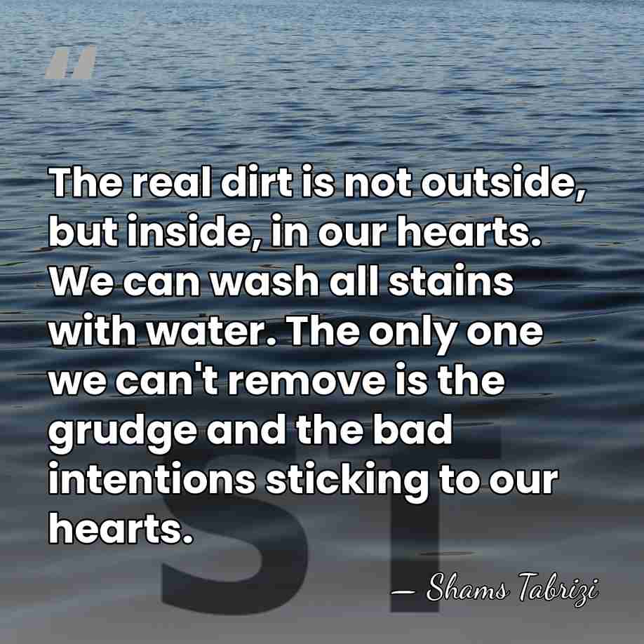 The real dirt is not outside, but inside, in our hearts. We&hellip; - Shams Tabrizi