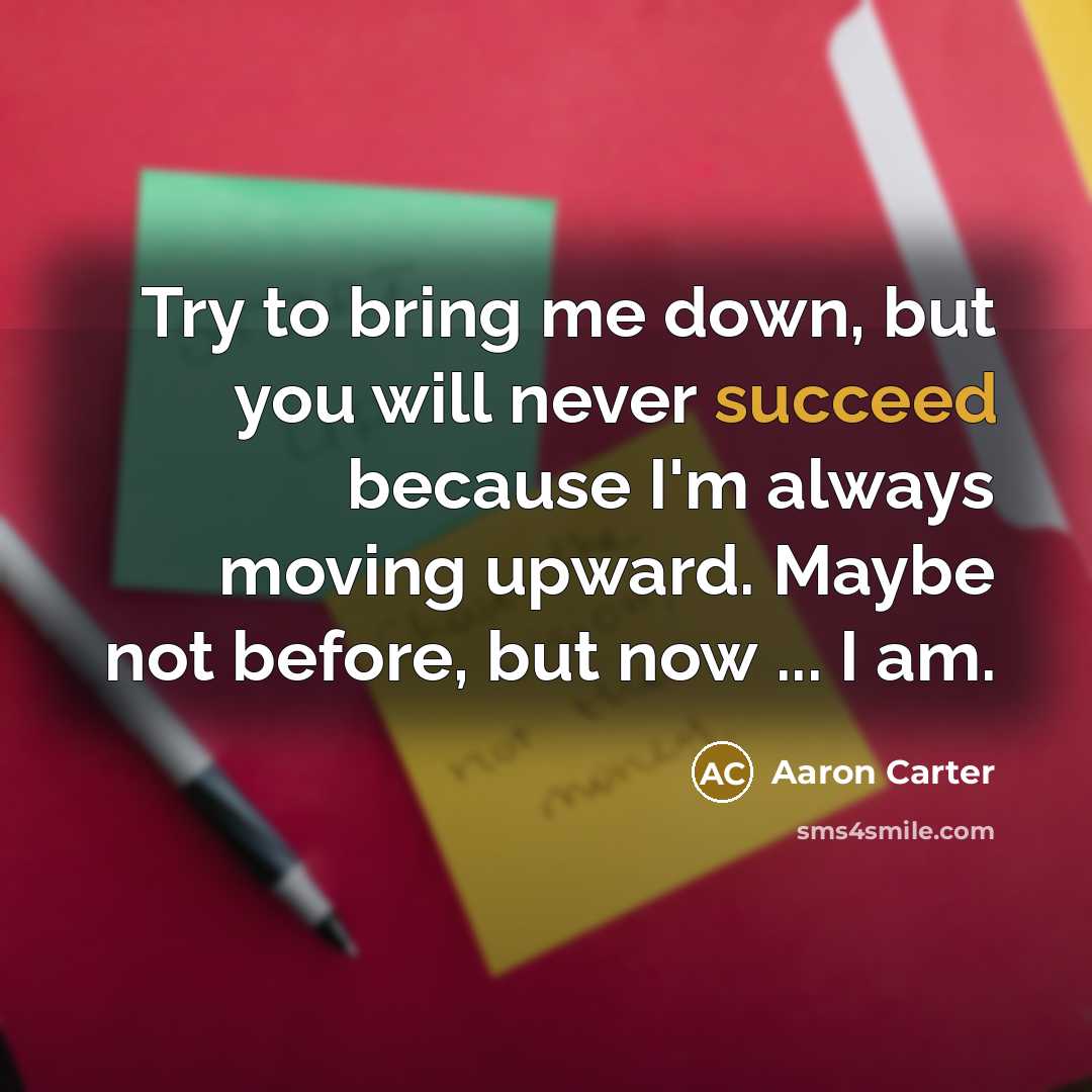 “Try to bring me down, but you will never succeed…” quote by Aaron Carter