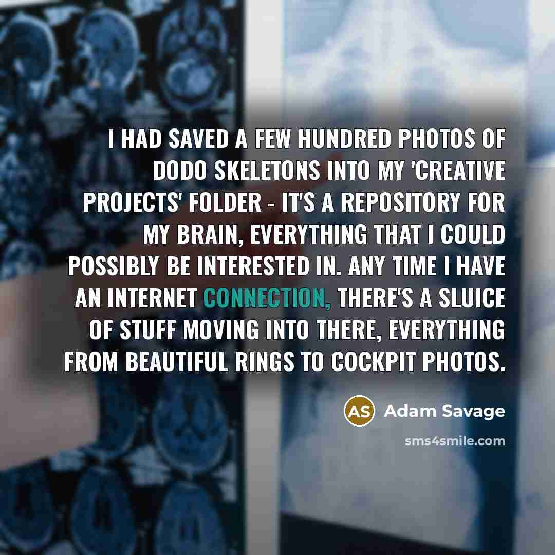 “I had saved a few hundred photos of dodo skeletons…” quote by Adam Savage