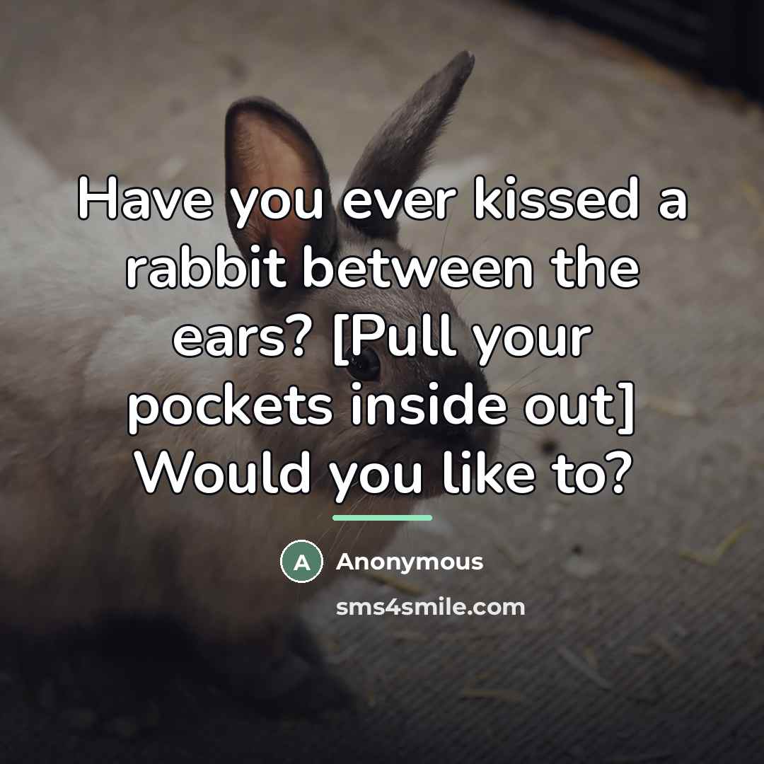 “Have you ever kissed a rabbit between the ears? [Pull…” quote by Anonymous