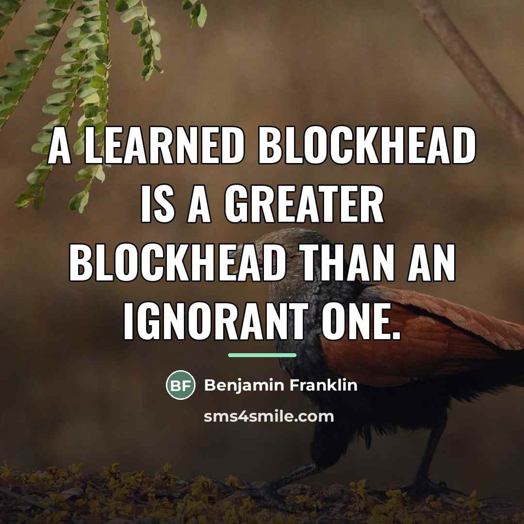 “A learned blockhead is a greater blockhead than an ignorant…” quote by Benjamin Franklin