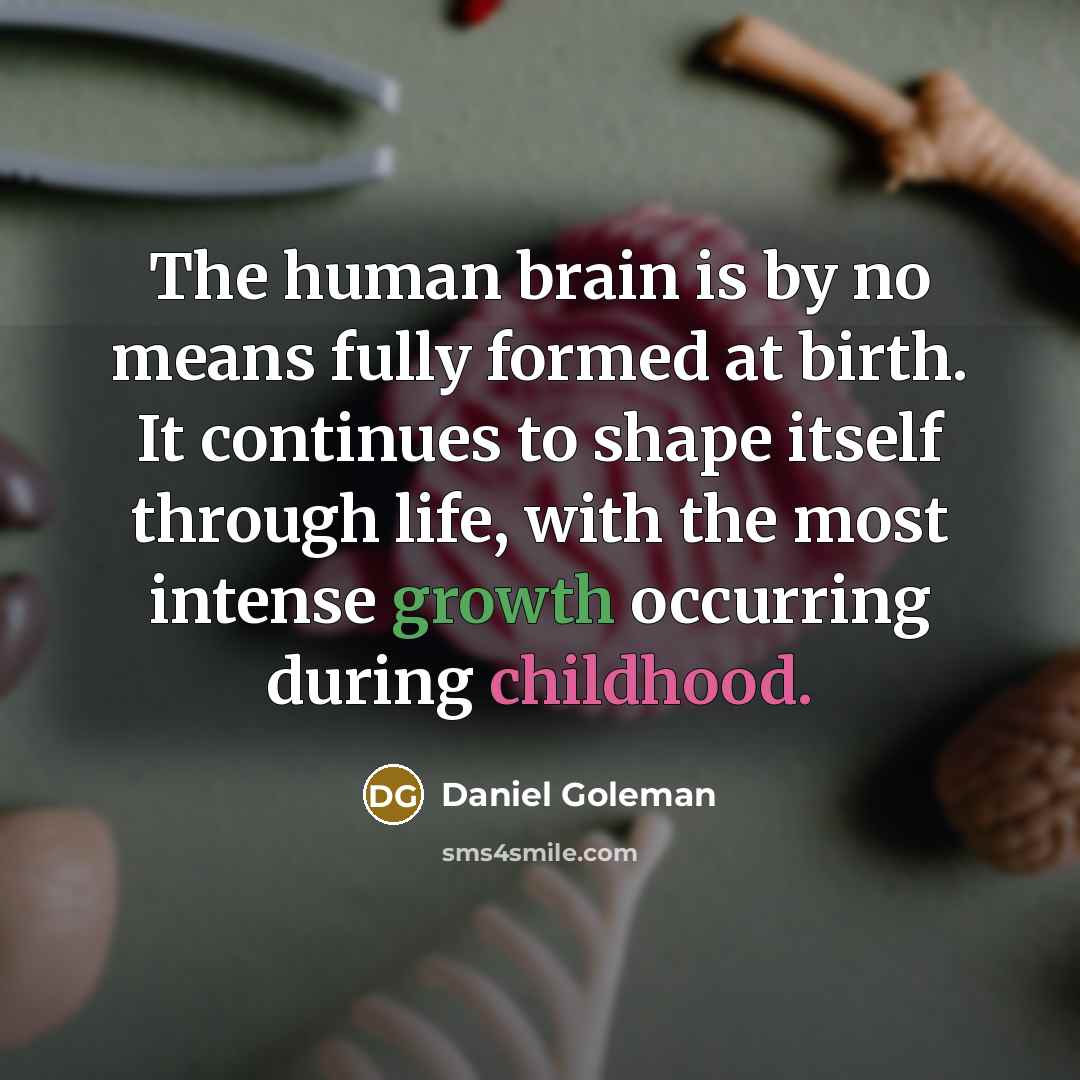 “The human brain is by no means fully formed at…” quote by Daniel Goleman