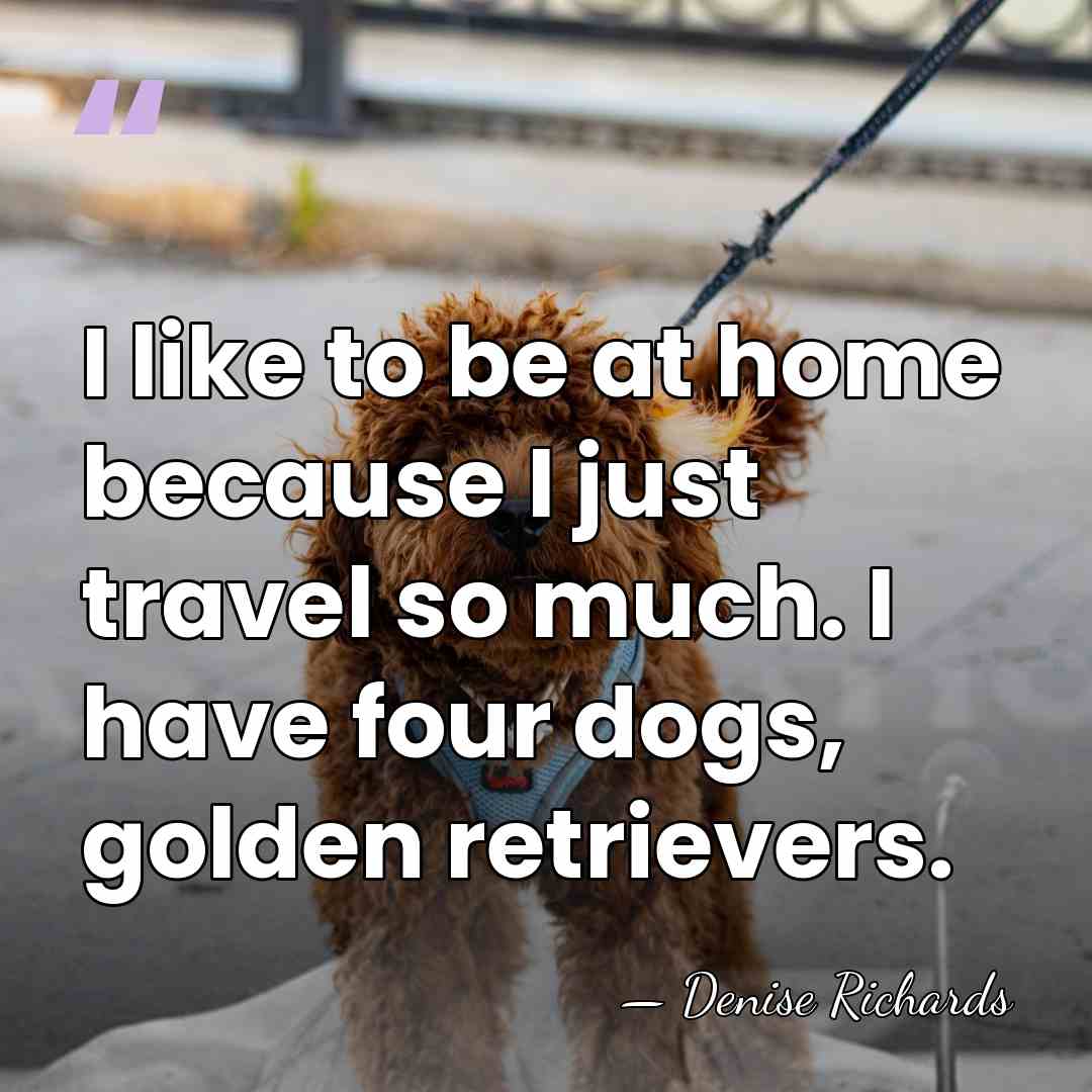 I like to be at home because I just travel so much.&hellip; - Denise Richards