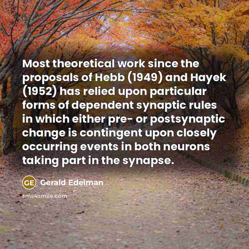 “Most theoretical work since the proposals of Hebb (1949) and Hayek (1952) has relied upon particular forms of dependent synaptic rules in which either pre- or postsynaptic change is contingent upon closely occurring events in both neurons taking part in the synapse.” quote by Gerald Edelman