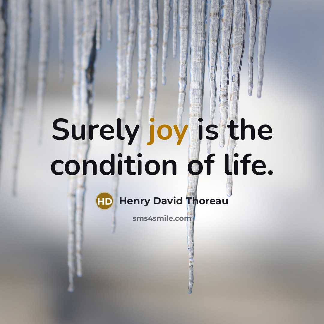“Surely joy is the condition of life.…” quote by Henry David Thoreau