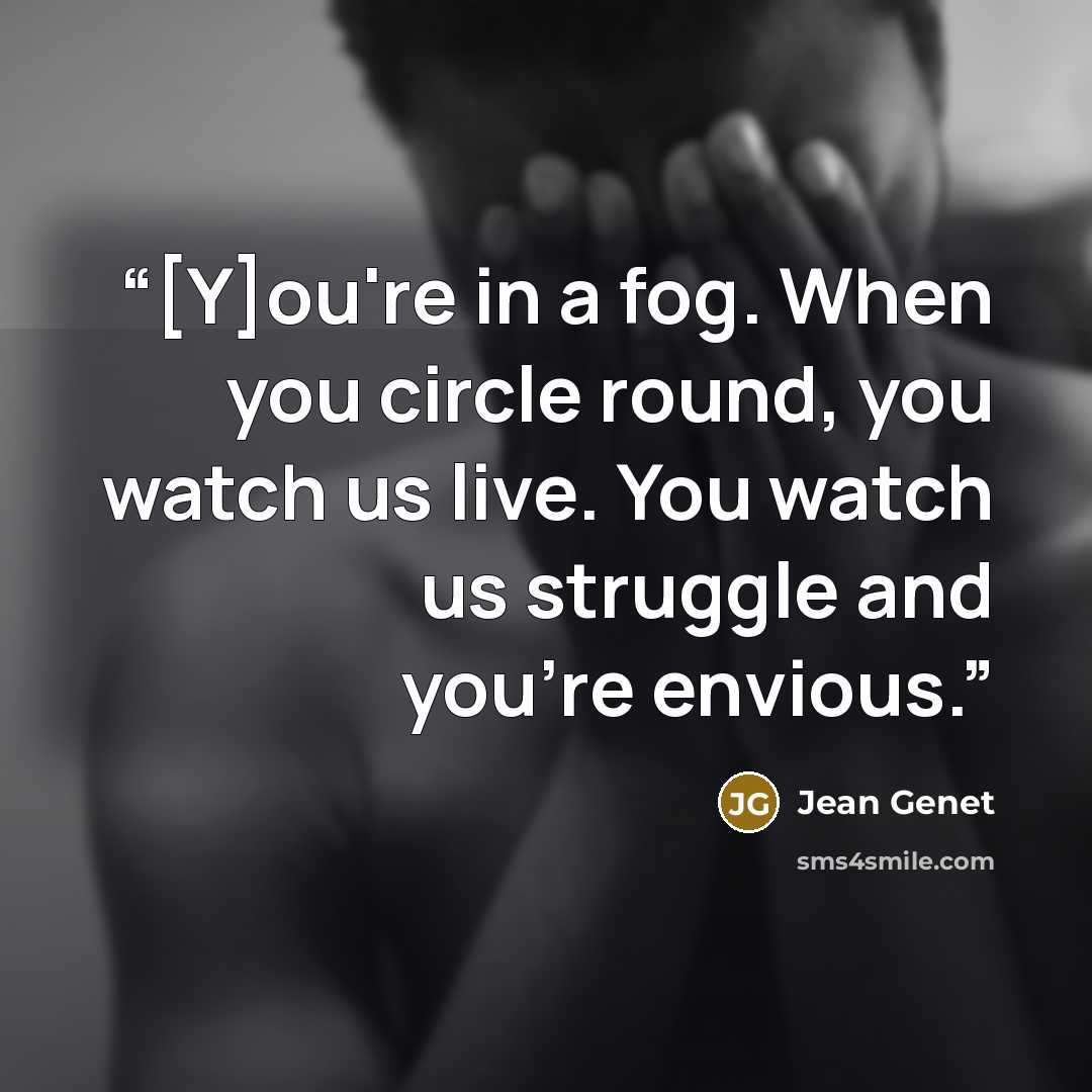 “[Y]ou're in a fog. When you circle round, you watch us live. You watch us struggle and you're envious.” quote by Jean Genet