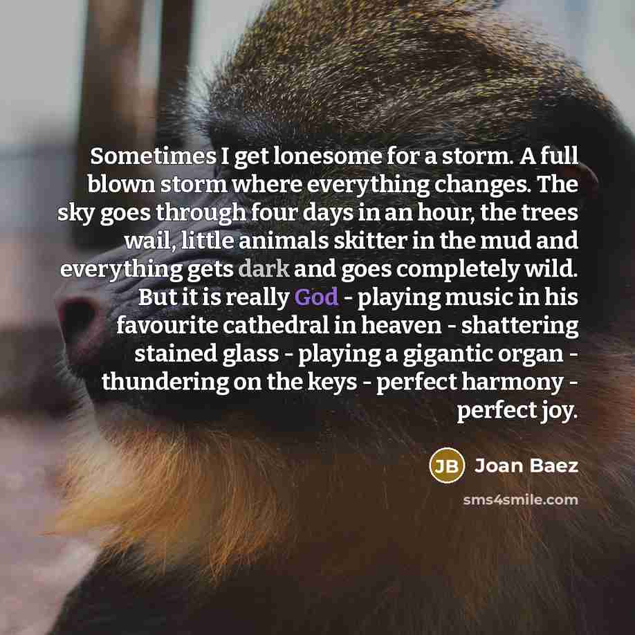 “Sometimes I get lonesome for a storm. A full blown…” quote by Joan Baez