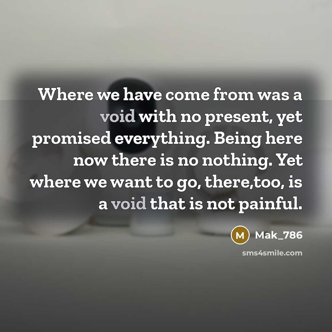 “Where we have come from was a void with no…” quote by Mak_786