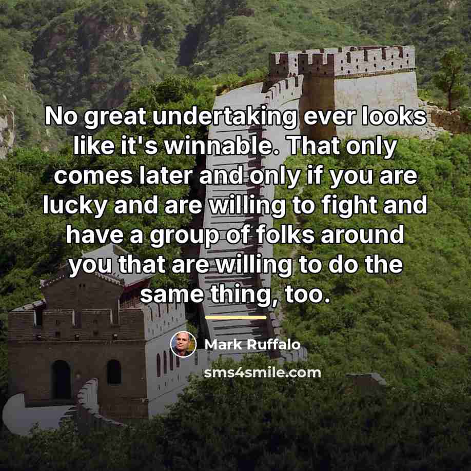 “No great undertaking ever looks like it's winnable. That only…” quote by Mark Ruffalo