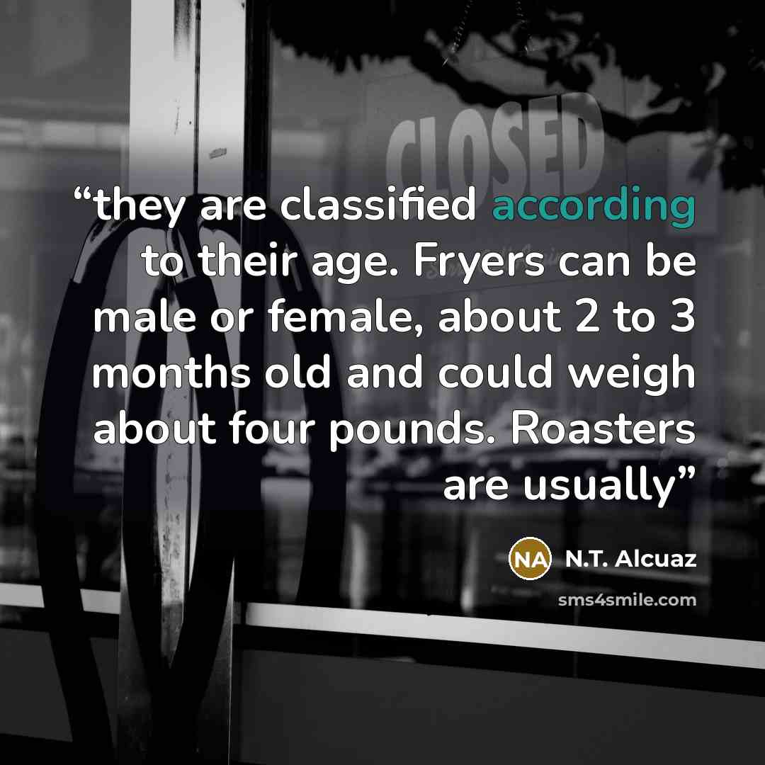 “they are classified according to their age. Fryers can be male or female, about 2 to 3 months old and could weigh about four pounds. Roasters are usually” quote by N.T. Alcuaz