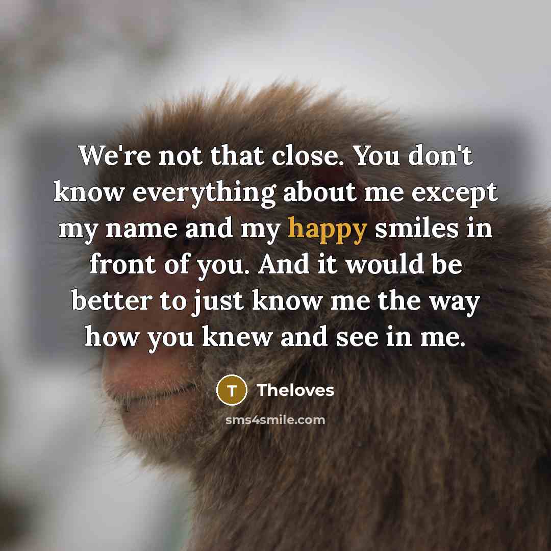 “We're not that close. You don't know everything about me except my name and my happy smiles in front of you. And it would be better to just know me the way how you knew and see in me.” quote by Theloves